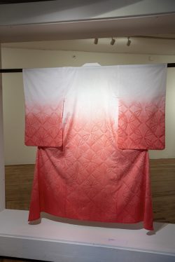 Dyed Cotton, Screenprint - 2025